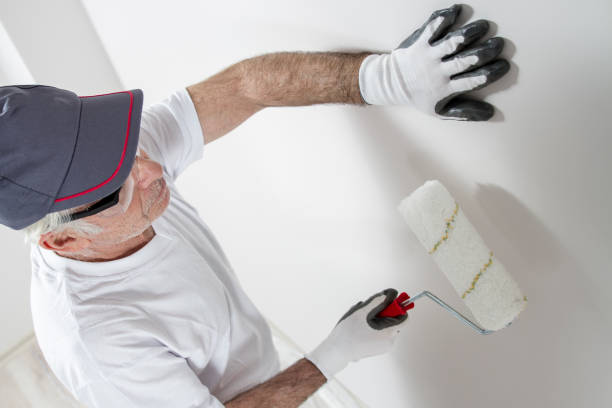 Best Basement Mold Removal  in Southfield, MI