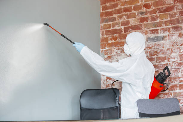  Southfield, MI Mold Removal Pros