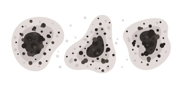 Best Air Quality Testing for Mold Spores  in Southfield, MI