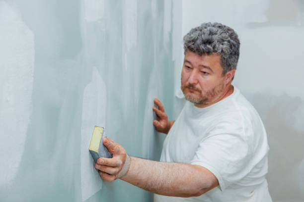Best Asbestos and Lead Testing During Mold Inspection  in Southfield, MI